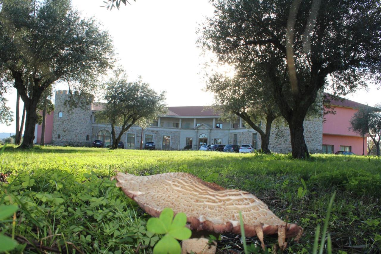 Palace Hotel & Spa Termas De Sao Tiago Penamacor Bagian luar foto